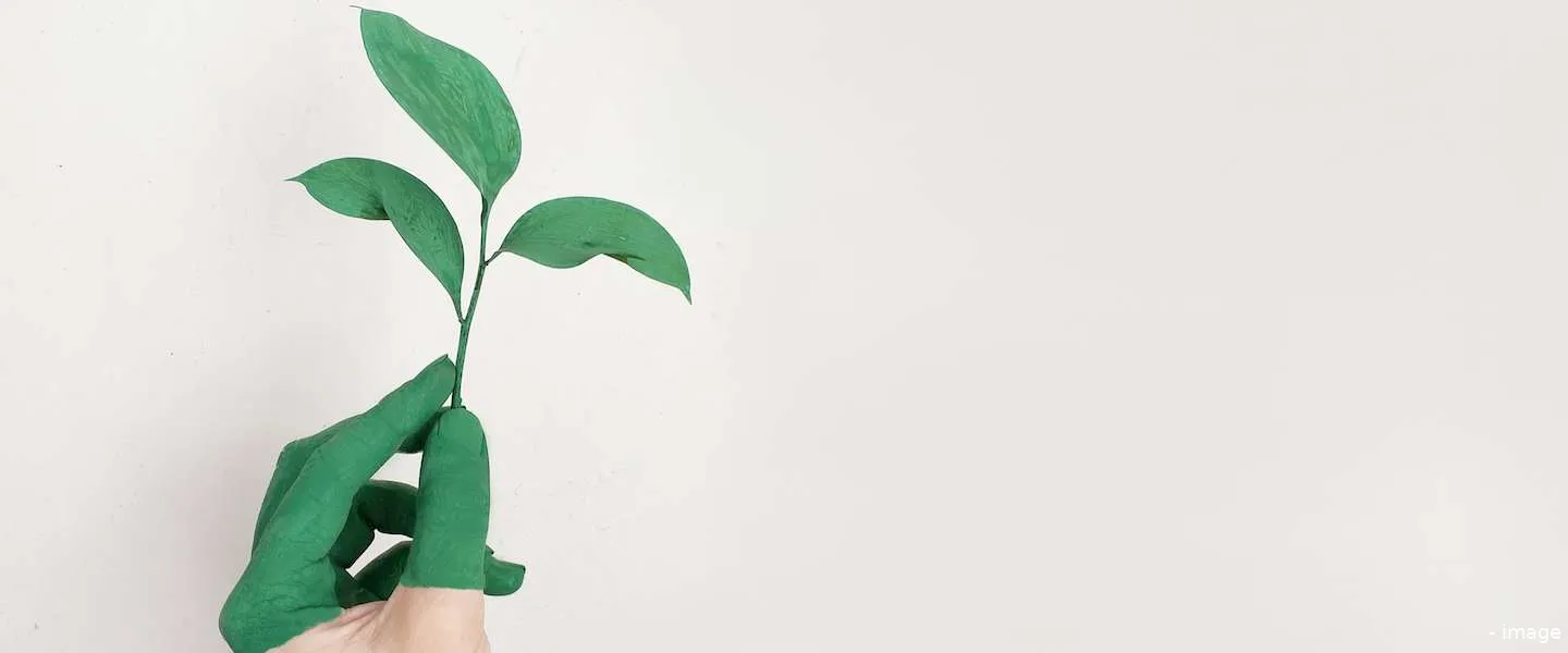 dagje groen milieu centraal