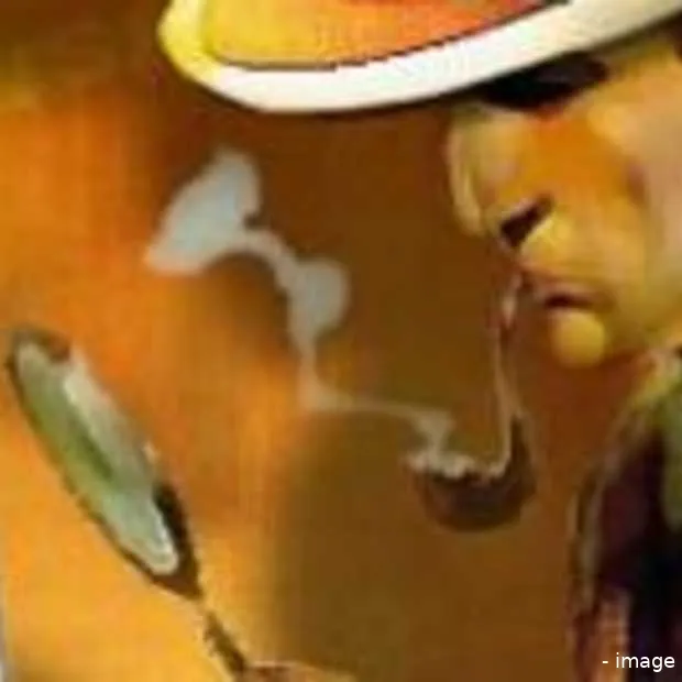 ddma search vraagbaak combinatie seo sea