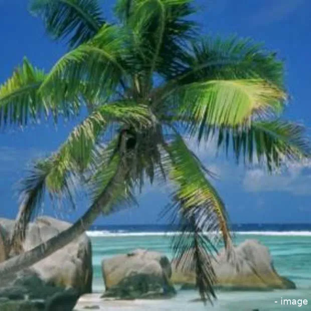 de beste vakantie via internet