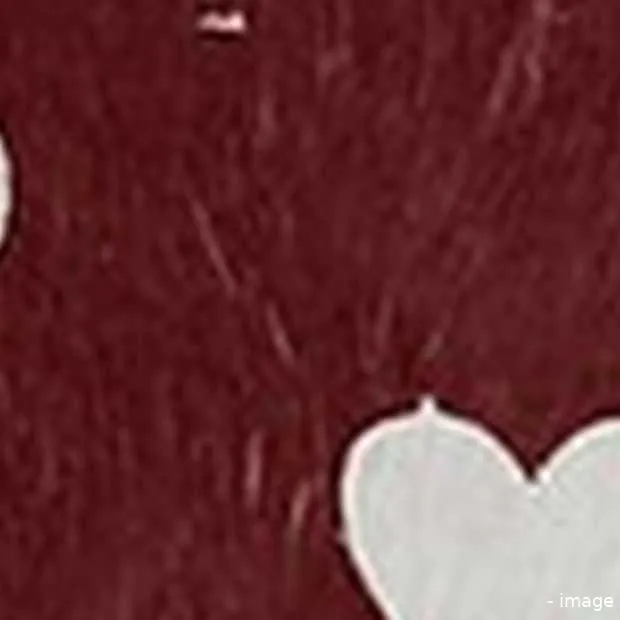 de duurste hoesjes voor je iphone