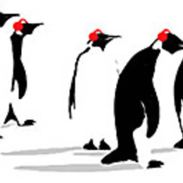 de eerste uren van pinguinradio nl