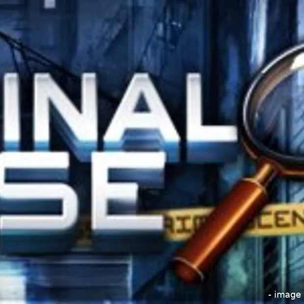 de facebook games van 2013 criminal case