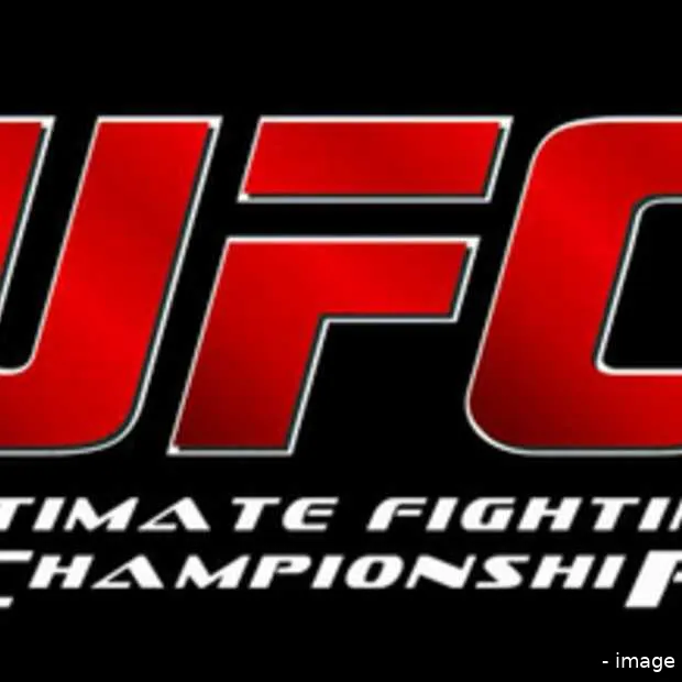 de ufc en social media infographic