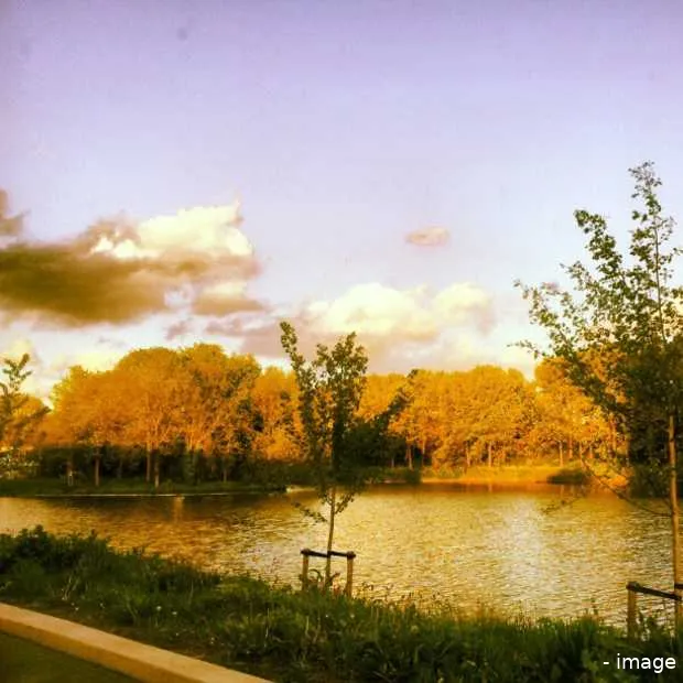 de verslaving die ze instagram noemen