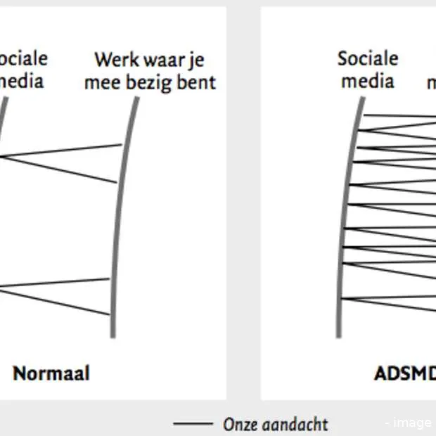 deel 2 van het rapport de zwarte kant va