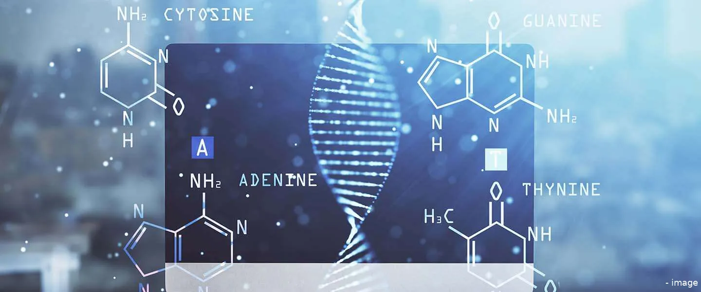 digital binnenhof academy