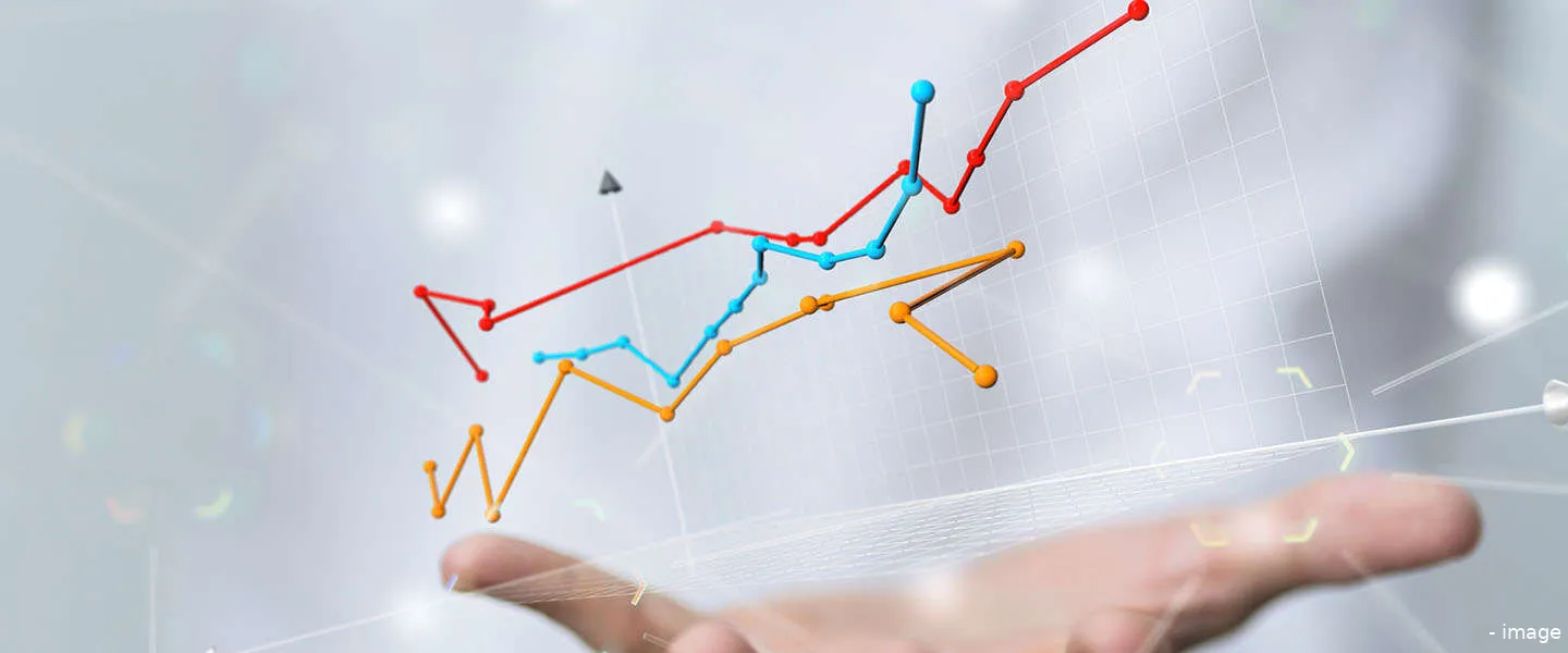 digitale groei revelx