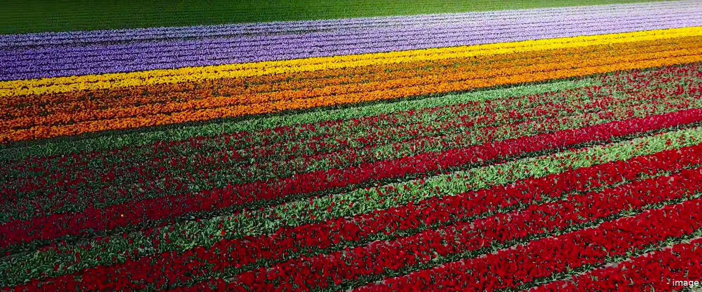 drone videos nederland 1