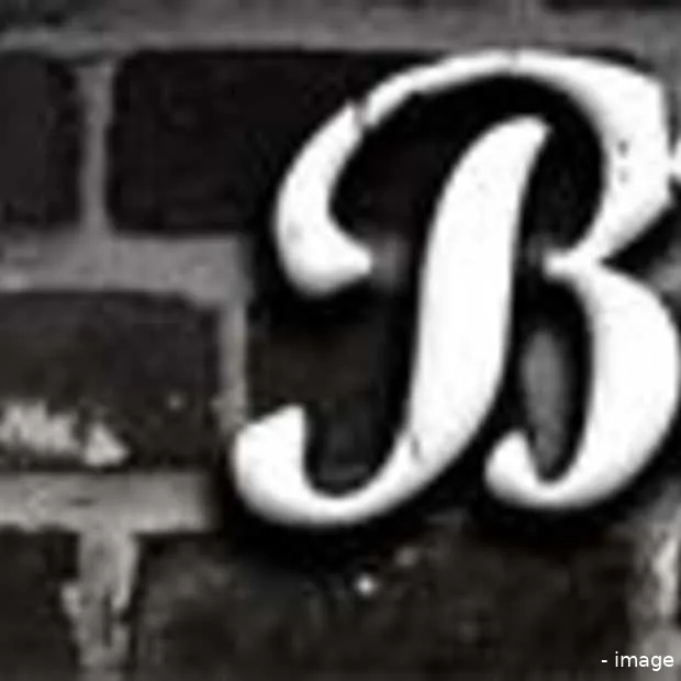 dutch bloggie nominatie voor dutchcowgir