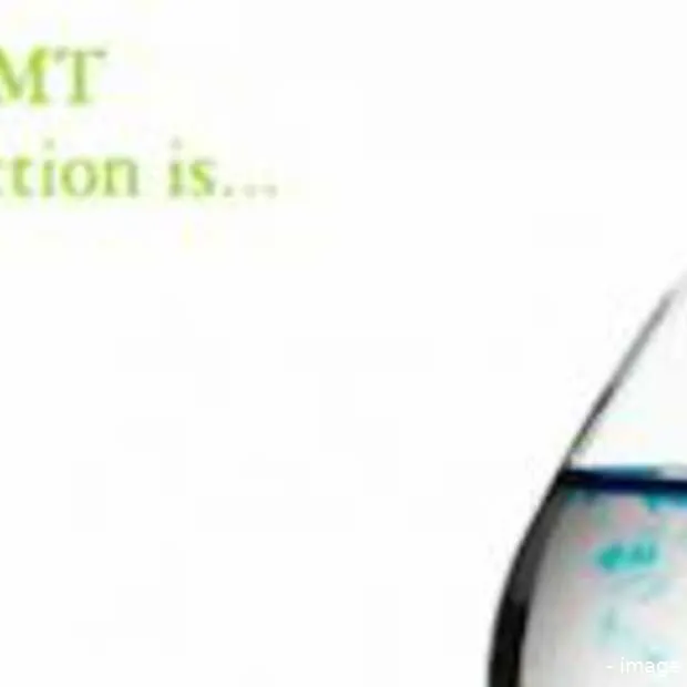 dutch fast50 tmt prediction