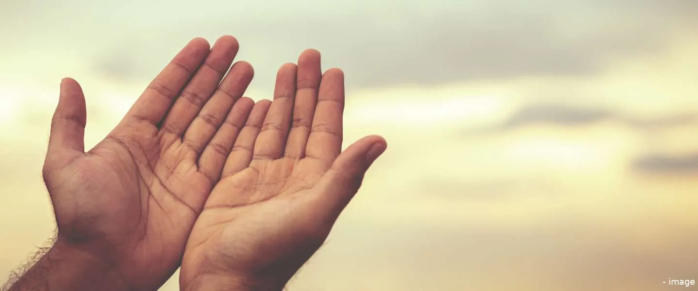 dutchcowboys header 20240329 173523 0000