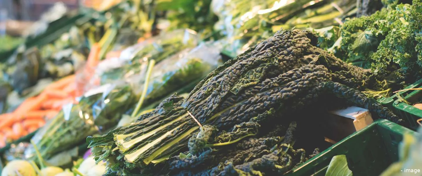 duurzaamheid albert heijn