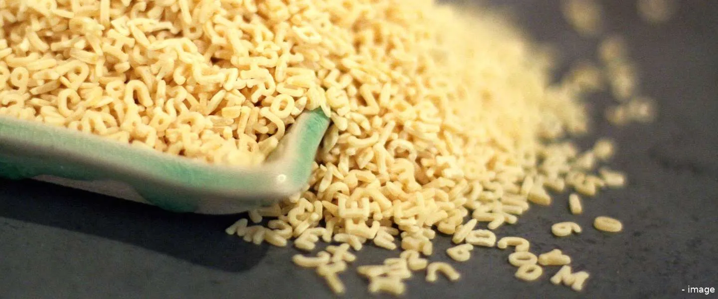 dyslexie font nederlander