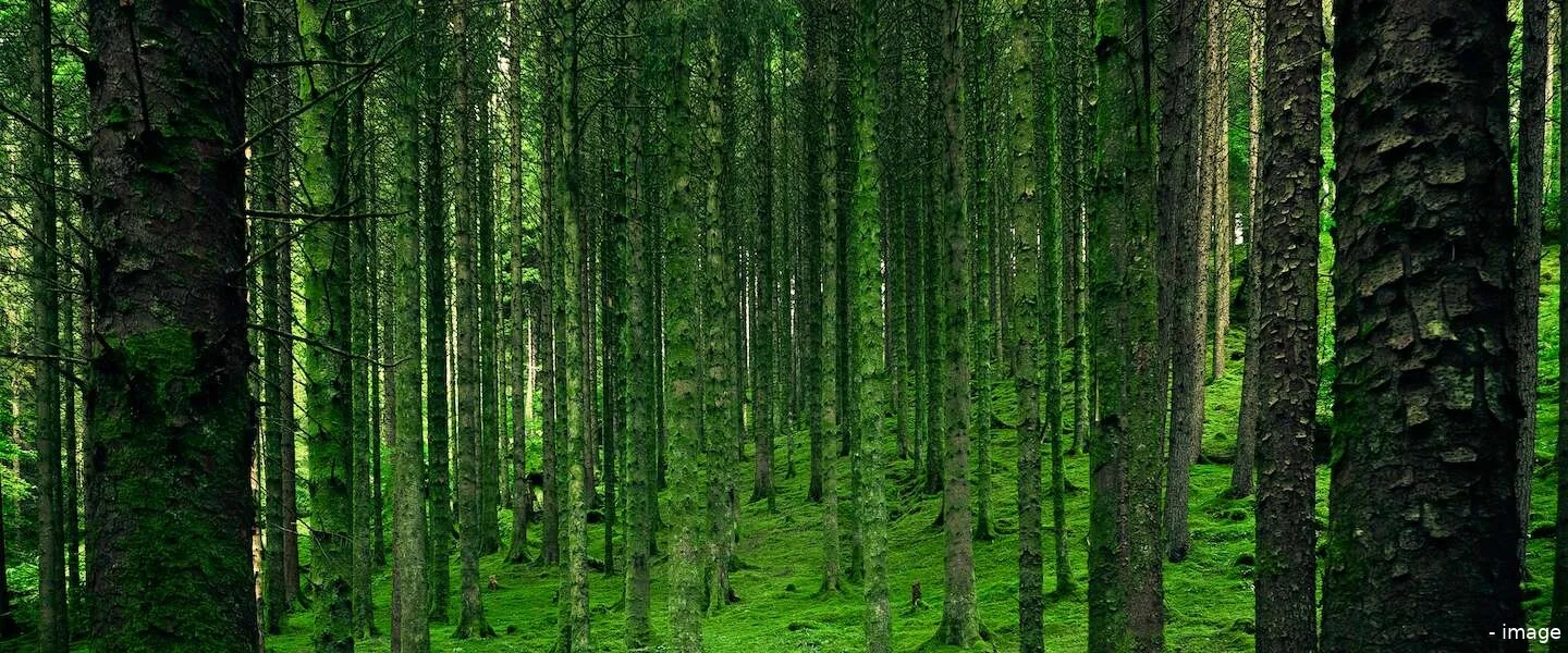 earth day dag van de aarde