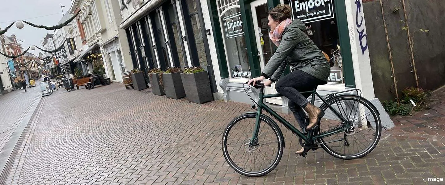 ebike ampler