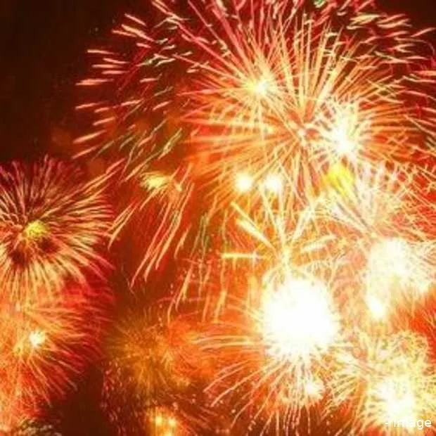 een heel gelukkig 2009