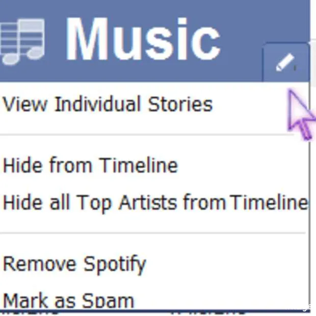 een jaar timeline apps muziek erg popula