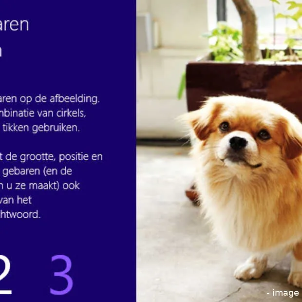 een wachtwoord verscholen in je foto