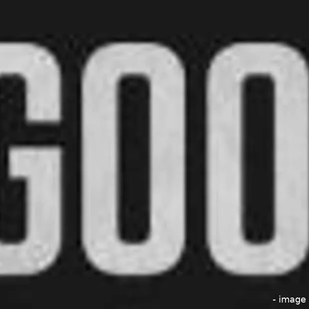 een wereld zonder google infographic