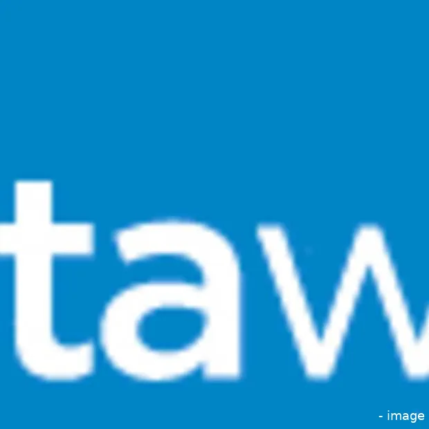 eerste online veiling originele striptek