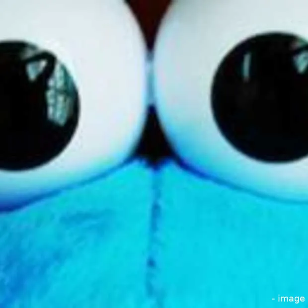 einde surfgemak op internet door pvv voo