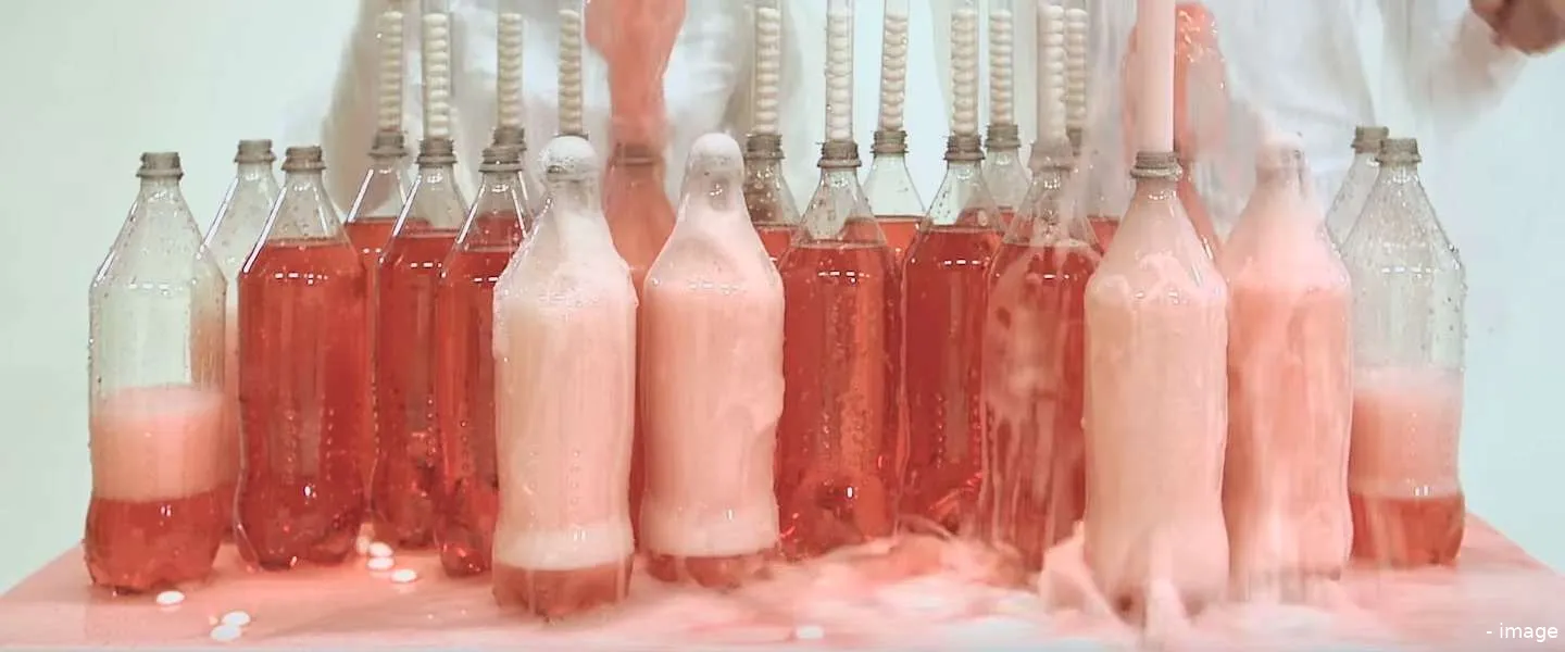 eindhoven share the vibe