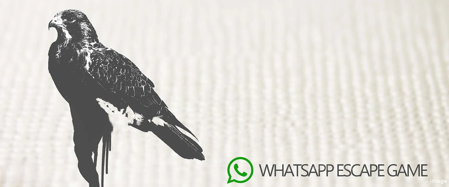 escapegame whatsapp