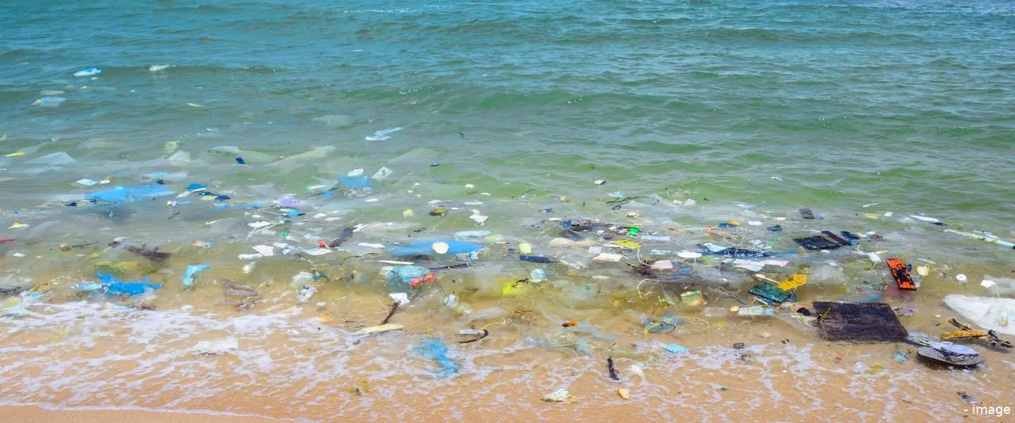 eu plastic regels 2019