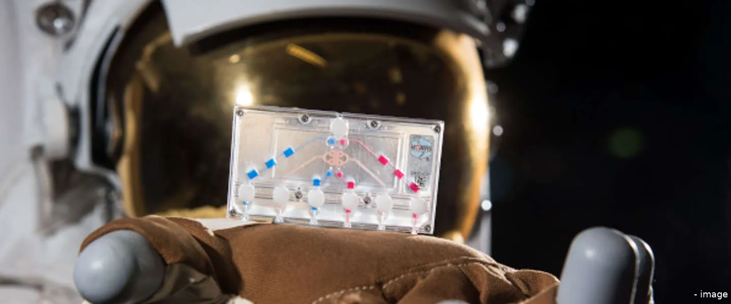 experimenten in de ruimte