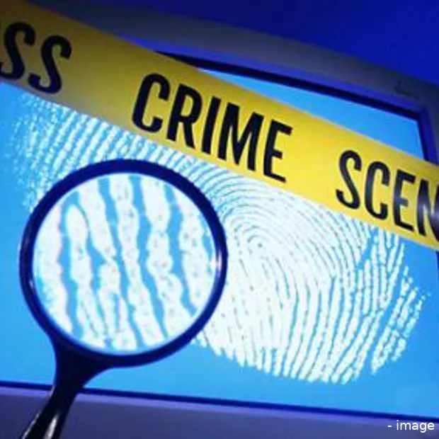 explosieve stijging cybercrime in nederl