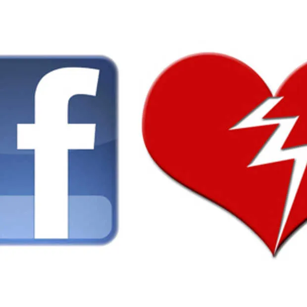 facebook goed voor 1 3de van de echtsche