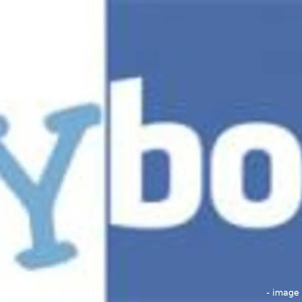 facebook in nederland op gelijke hoogte