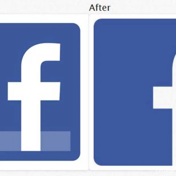 facebook verandert logo s op website