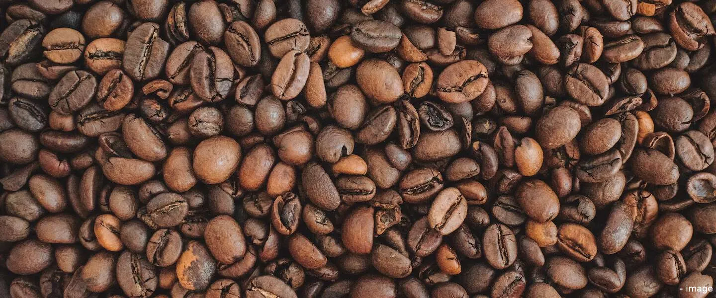 fairtrade eerlijke prijs