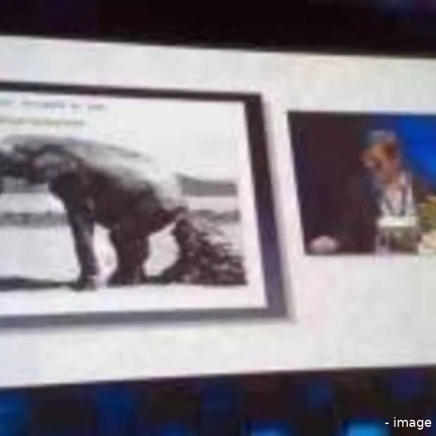 fake steve jobs praat over zijn succes