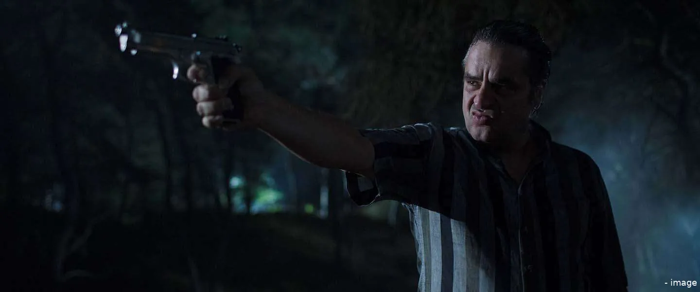 ferry bouwman netflix