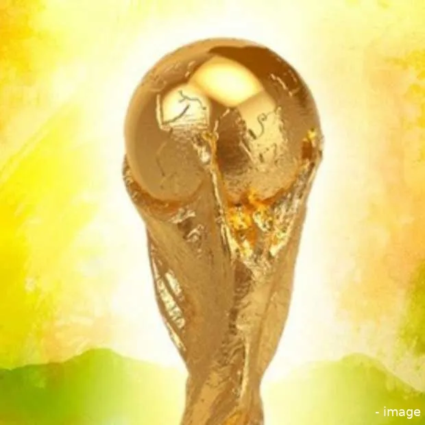 fifa 2014 world cup brazil is geen werel
