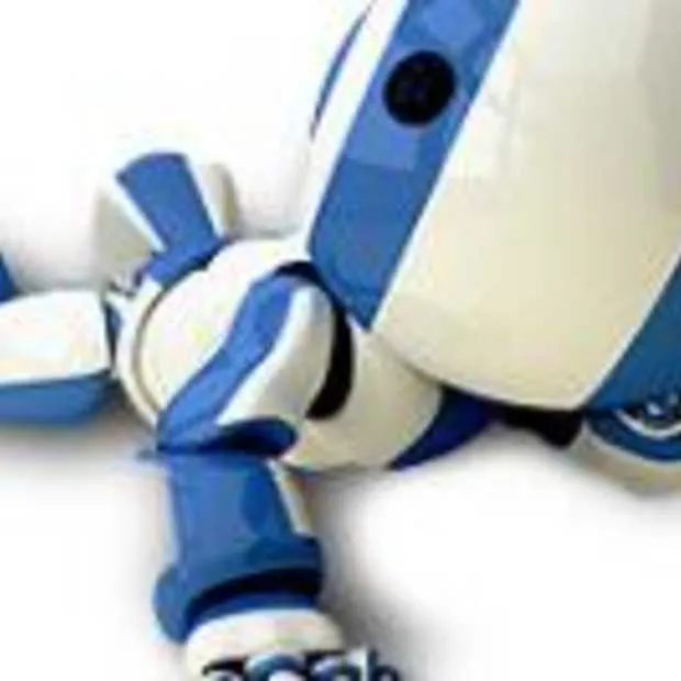 fits me wint plugg startups rally