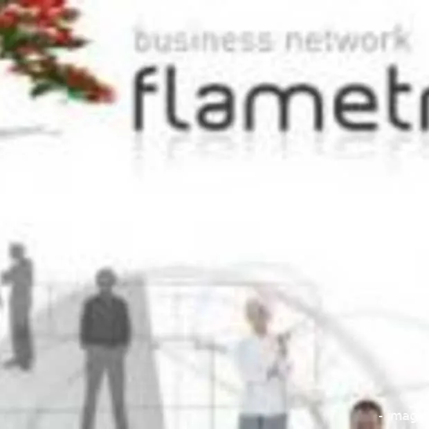 flametree stopt ermee