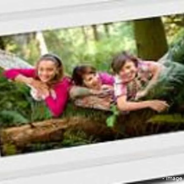 flickr geintegreerd in draadloze digital