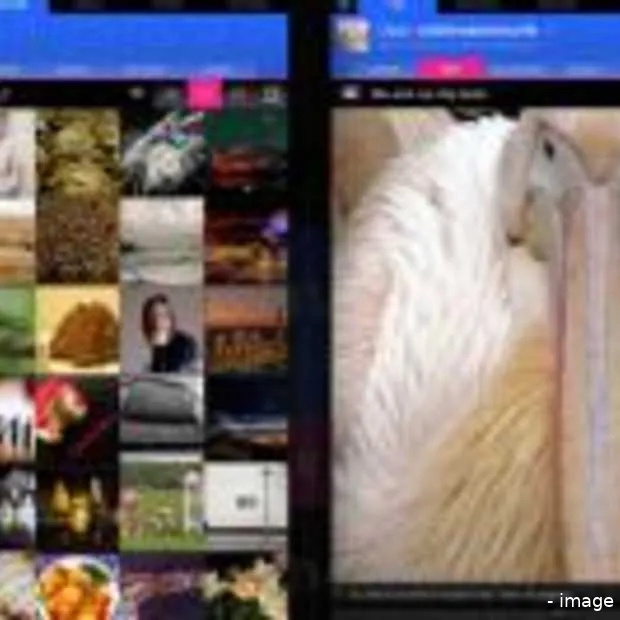 flickr studio voor de ipad krijgt wereld