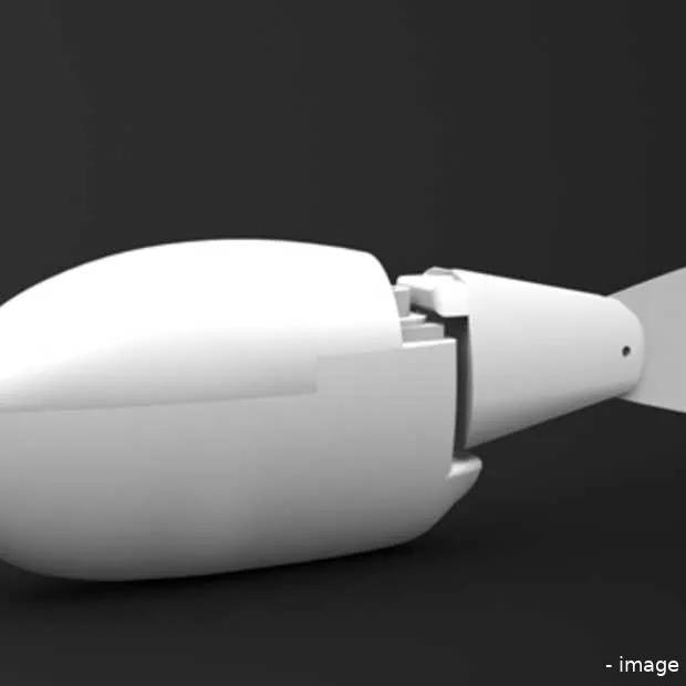 follow the robot leader