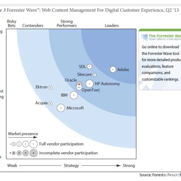 forrester adobe leider in web content ma