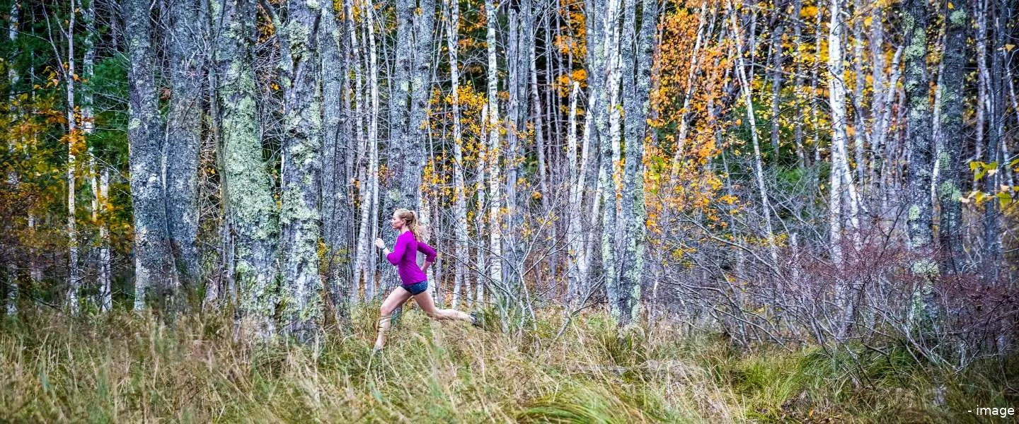 garmin productlanceringen ces