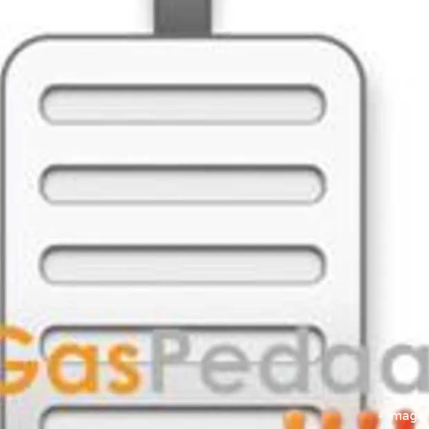 gaspedaal in hoger beroep