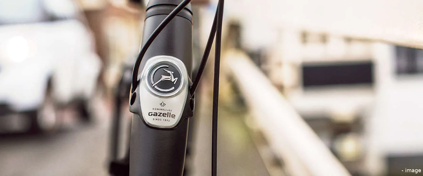 gazelle e bike
