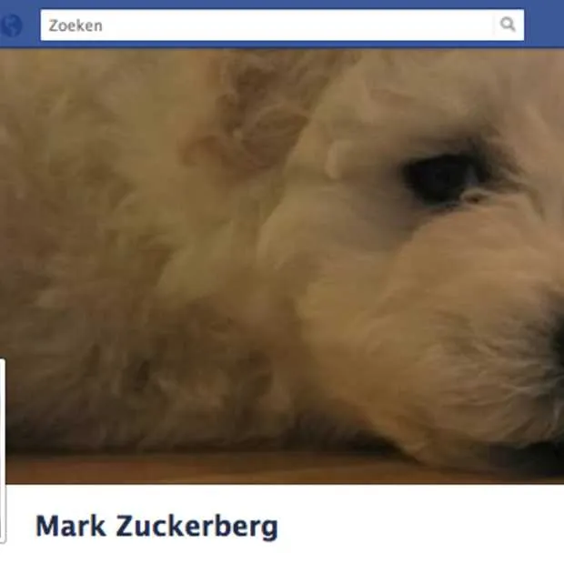 geen facebook timeline in ie7