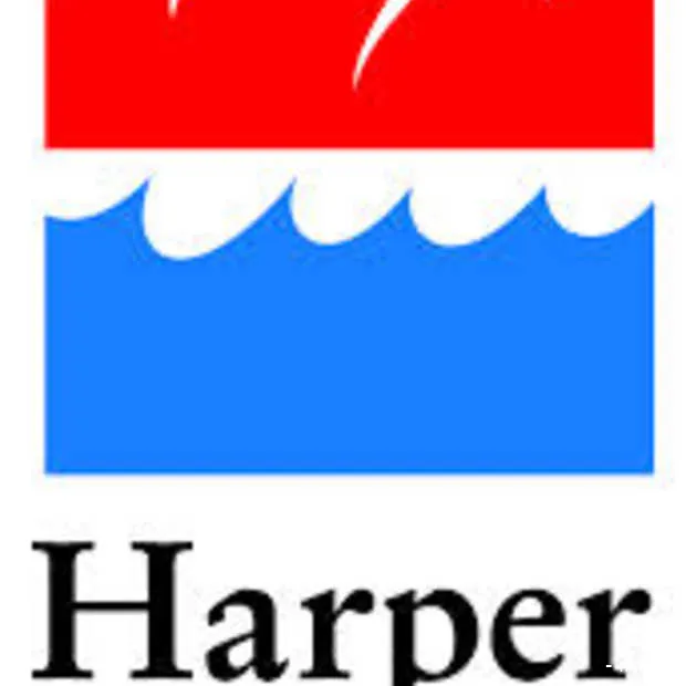 geen toekomst voor de e books