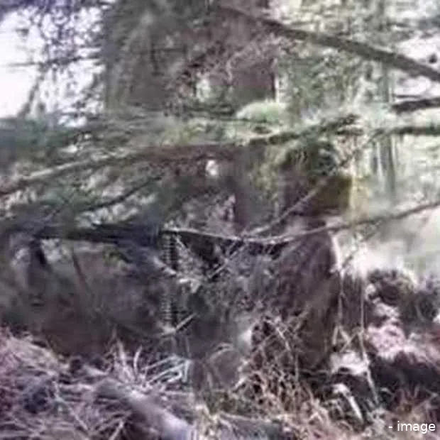 german army bootcamp