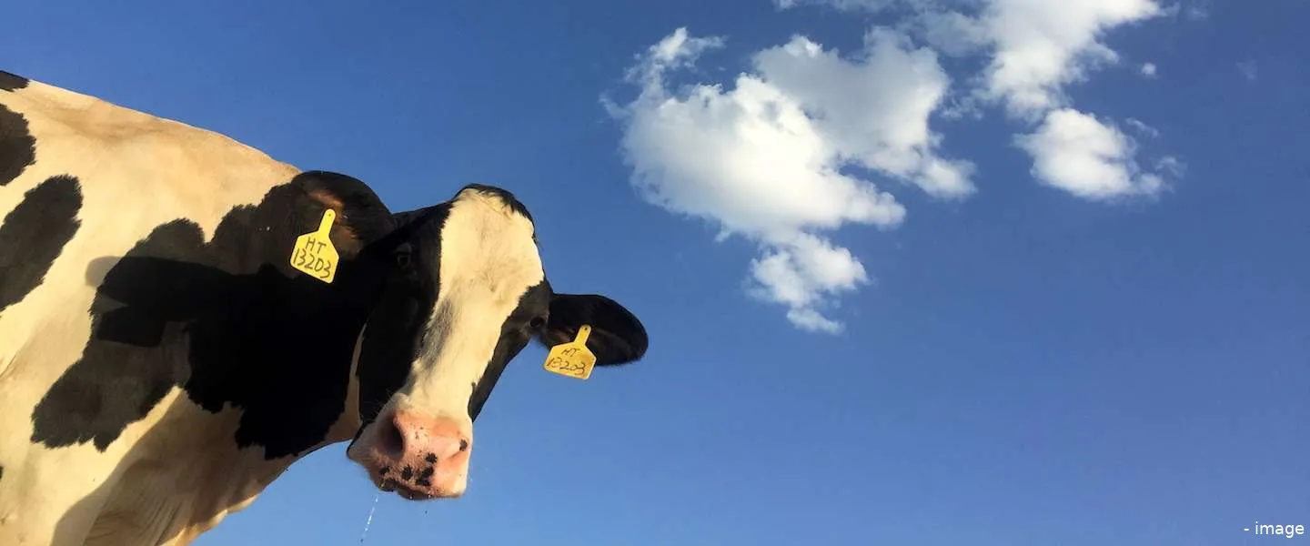 goed nieuws dieren netflix